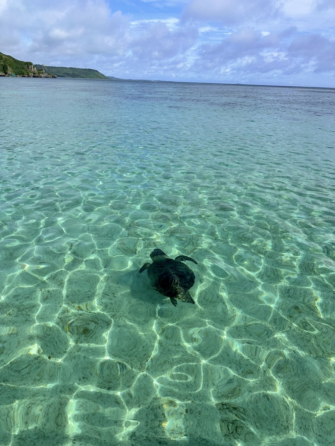 宮古島🍍