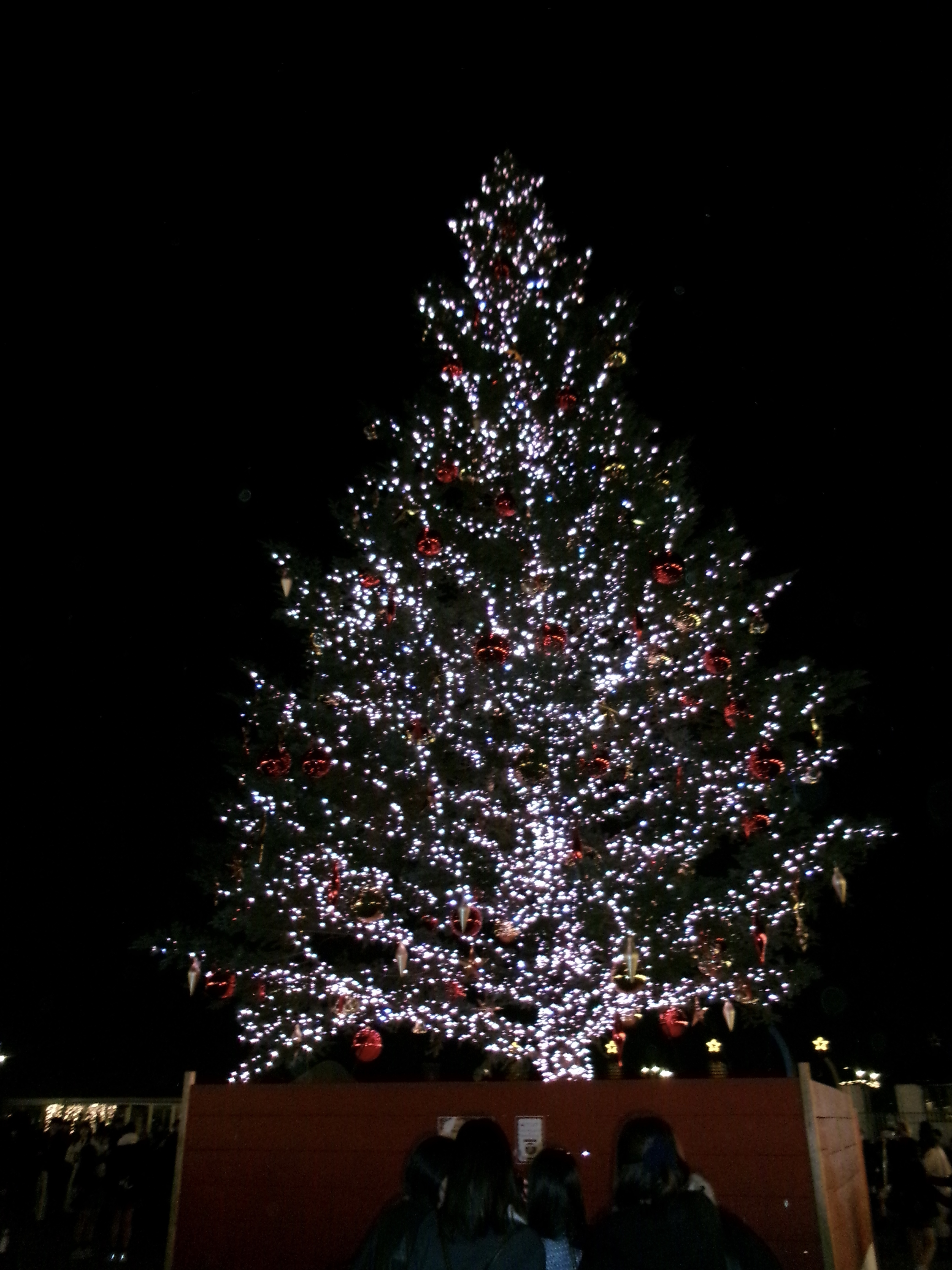 クリスマスマーケット🎅🏻🎄