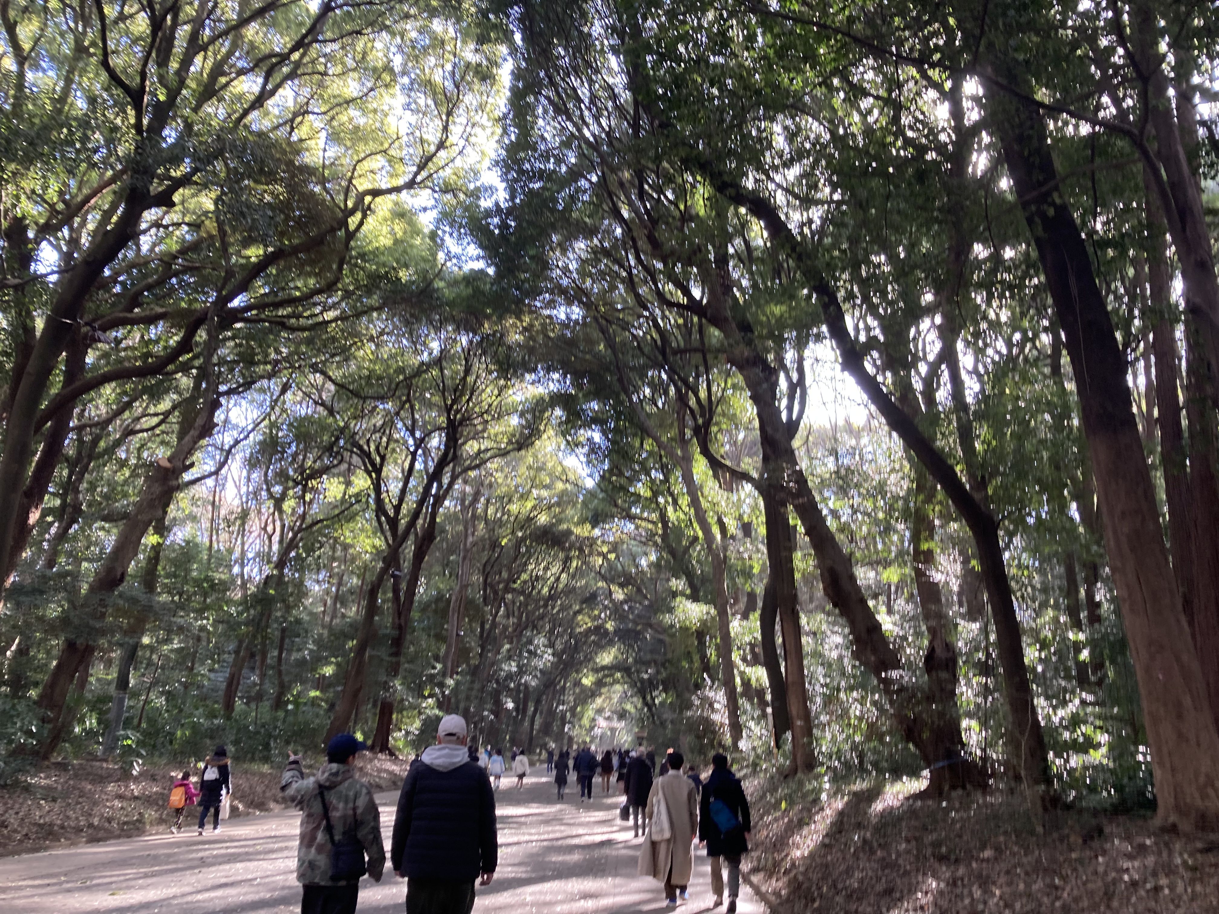 パワースポット巡り✨⛩️