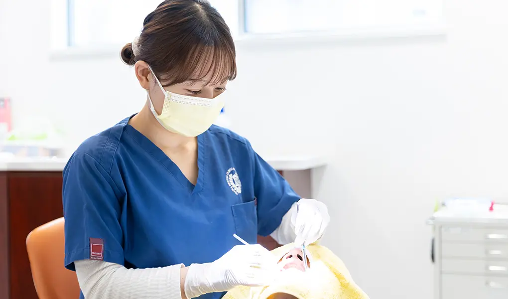 歯を守り健康を維持するためのメインテナンス